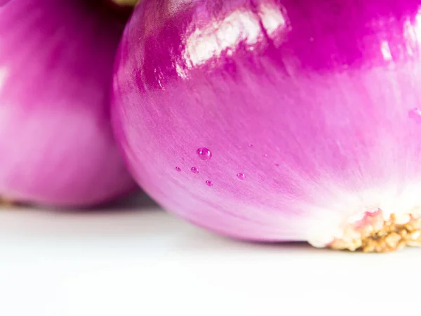 Freshness Red Onion Isolated White Background — Stock Photo, Image