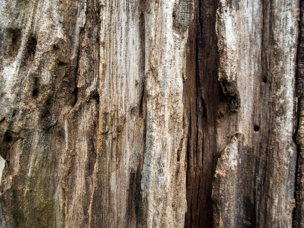Zavřít Starému Pařezu Struktura Dřeva — Stock fotografie