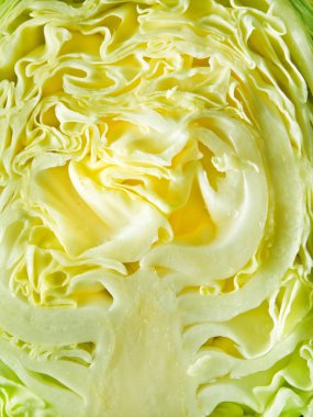 Bir lahana içinde doku yakın çekim