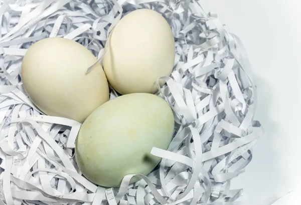 Eggs on the straw paper in white background, raw food package