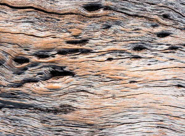 幹の表面の樹皮の質感と溝 抽象的な背景 — ストック写真