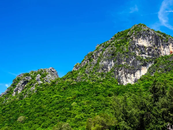 Trees on rock mountain and the clear blue sky