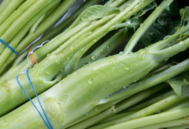 Tay Morning glory ve Çince lahana suda yıkayın