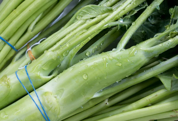 Thai Morning Glory Chinese Kale Wash Water — Stok Foto