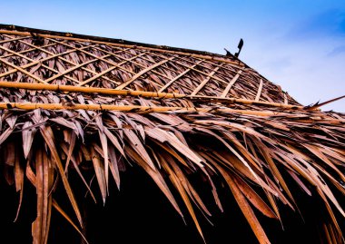 Çimen bıçak yapılan çatılar