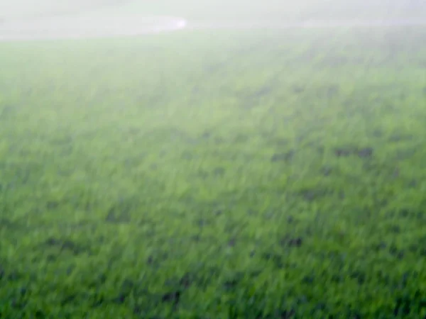 Grüner Rasen und starker Regen im unscharfen Fokus als Hintergrund — Stockfoto