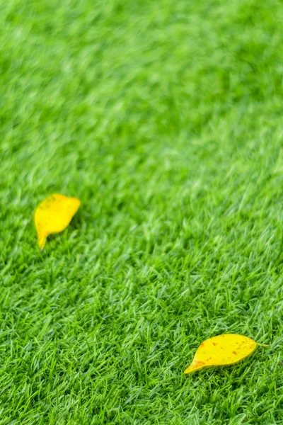 Folha de queda amarela na grama artificial por profundidade rasa de fie — Fotografia de Stock