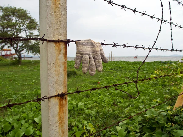 Eski çit ve paslı dikenli tel — Stok fotoğraf