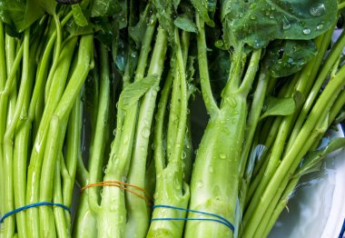 Morning glory ve Çince lahana suda yıkayın