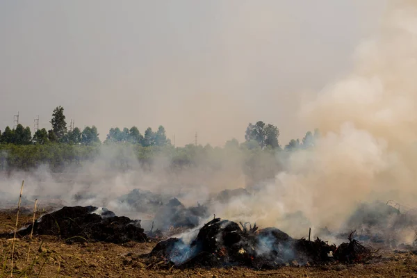 Dense dust and smoke from burning stubble in post-harvest area