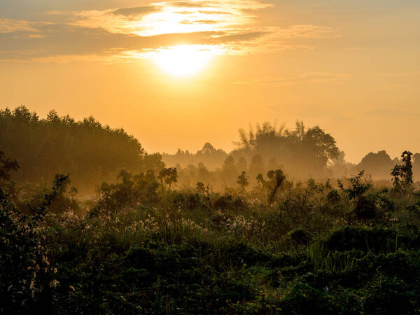 Gold light of sunrise in the countryside in the morning