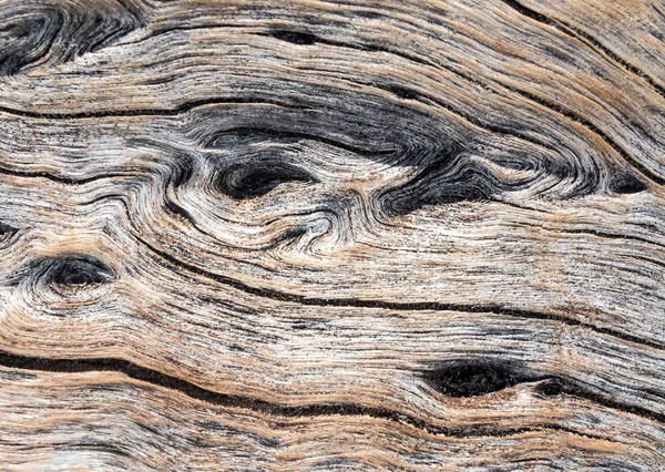 Texture astratta sulla superficie della vecchia tavola di legno — Foto Stock