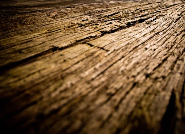 Close up to old stump surface texture, wooden texture