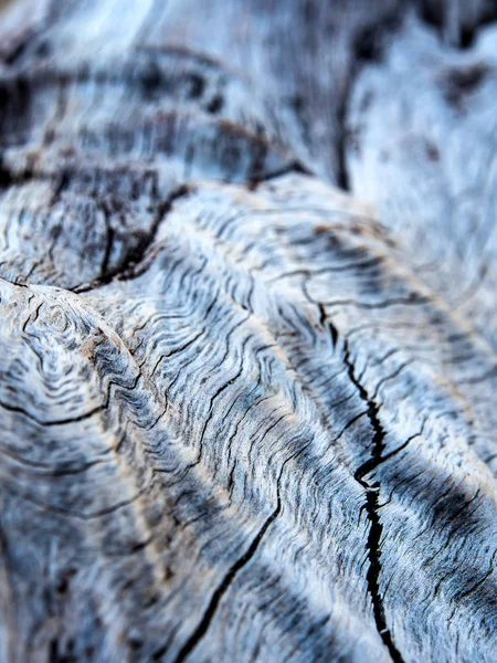 Λεπτομέρεια της παλιάς κούτσουρο επιφάνεια, ξύλο υφή — Φωτογραφία Αρχείου
