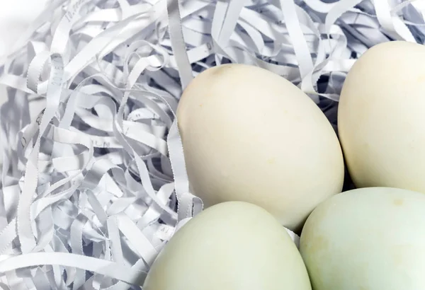 Eggs on the straw paper in white background