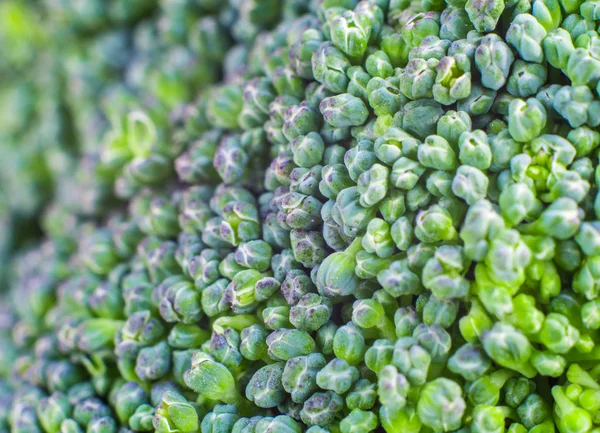 Oberflächenstruktur von frischem Brokkoli-Gemüse — Stockfoto