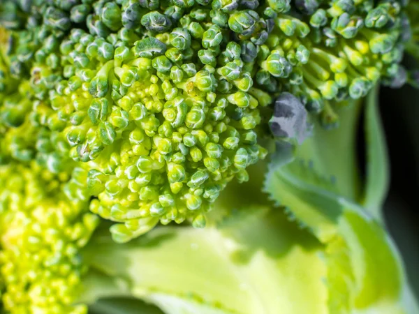 Oberflächenstruktur von frischem Brokkoli-Gemüse — Stockfoto