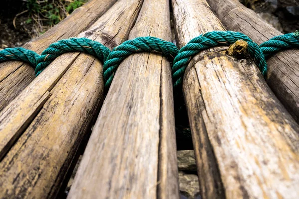 Cravatta di bambù essiccata con corda di nylon verde — Foto Stock