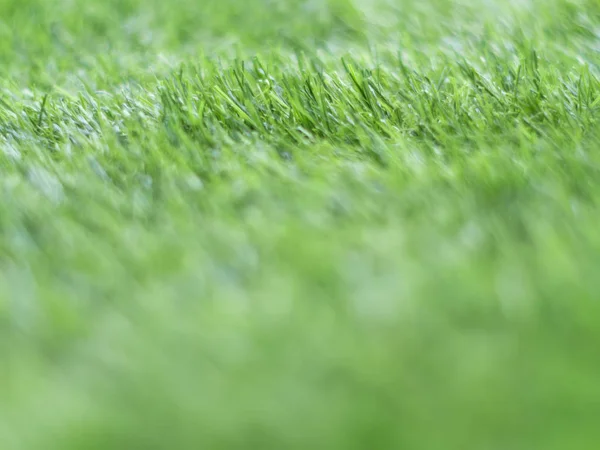 Texture di erba artificiale di plastica del cortile della scuola — Foto Stock