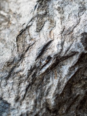 Parkta dekoratif doğal taş tam çerçeve dokusu