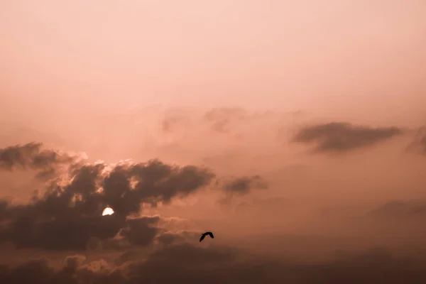 Güneş ışığı ile sabah gökyüzünde gri kabarık bulutlar — Stok fotoğraf