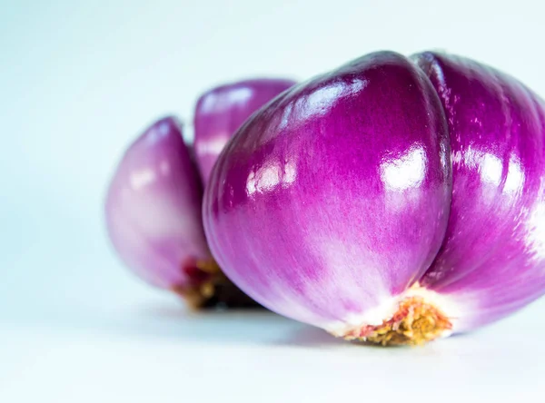 Cipolla rossa isolata su fondo bianco — Foto Stock