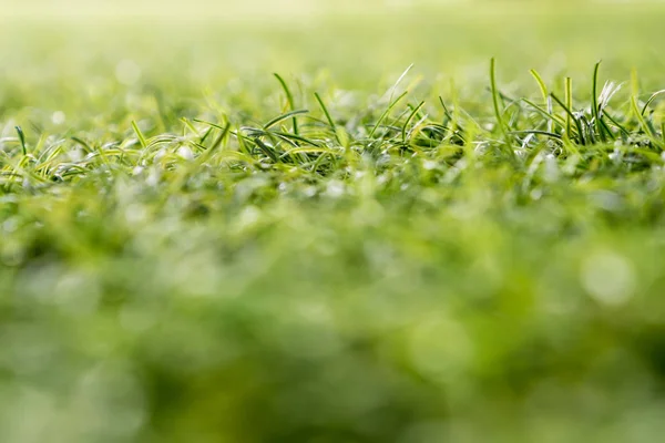 Textura de grama artificial de plástico da escola quintal por rasa de — Fotografia de Stock