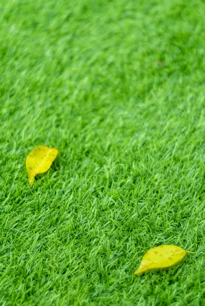 Жовтий осінній лист на штучній траві — стокове фото