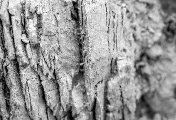 Текстура кам'яної поверхні в скелястій горі — стокове фото