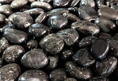 Kara nehir taşının ıslak yüzeyi şelalenin yanında yerde.