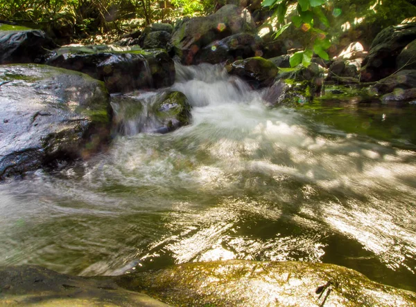 Streams Waterfalls Rainforest Turbulent Flowing Rainy Season — Stock Photo, Image