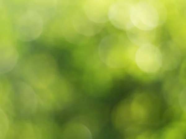 Licht Groen Met Gele Bokeh Natuur Defocus Abstracte Wazige Achtergrond — Stockfoto