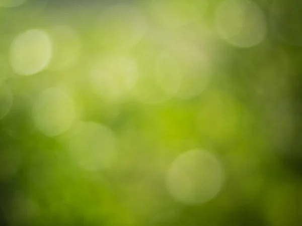 Licht Groen Met Gele Bokeh Natuur Defocus Abstracte Wazige Achtergrond — Stockfoto