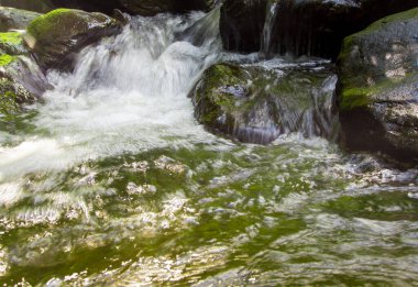 Yağmur ormanlarının şelaleleri yağmur mevsiminde çalkantılı bir şekilde akıyor.