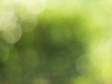 Işıklar ve yeşil, doğanın bulanık arka planında sarı bokeh. Açık hava bokeh doğal sarı ve yeşil tonlarda soyut arkaplan