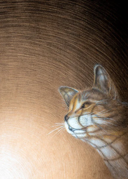 ワイヤーふるいの影檻に閉じ込められた猫の顔に接ぎ木 クラフト紙に描かれた色鉛筆 — ストック写真