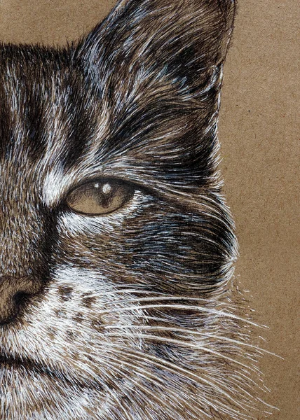 Cat's face painting with white and black ink on brown kraft paper