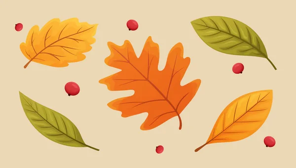 Arka planda sonbahar yaprakları koleksiyonu izole