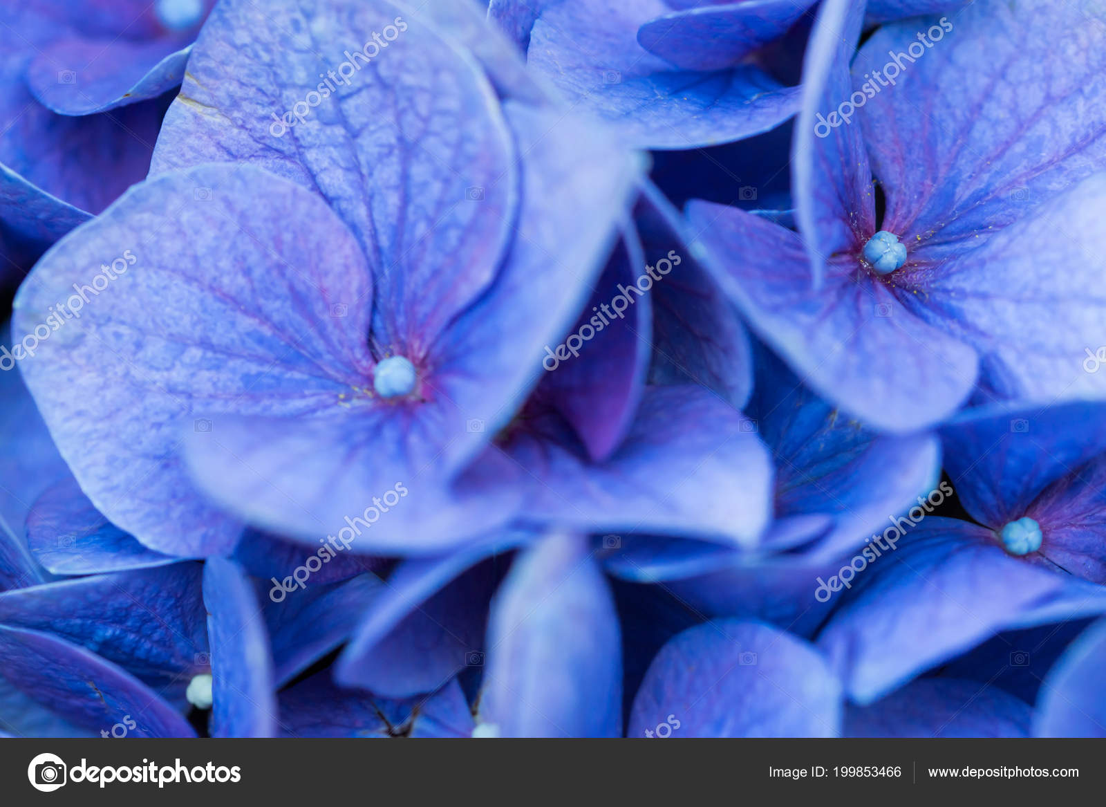 Horizontale Voller Lange Verschwommen Schuss Von Blauen Horizontale Voller Lange Verschwommen Schuss Von Blauen