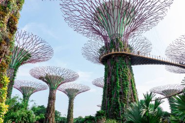 supertree Singapur bahçelerle bay, Singapur, 12 Ekim 2018