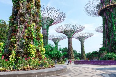 supertree Singapur bahçelerle bay, Singapur, 12 Ekim 2018