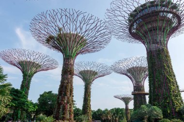 supertree Singapur bahçelerle bay, Singapur, 12 Ekim 2018