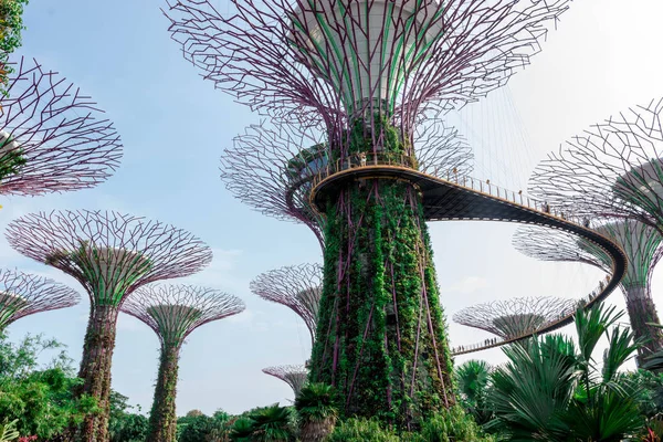 Supertree Singapore Gardens Bay Singapur Octubre 2018 — Foto de Stock