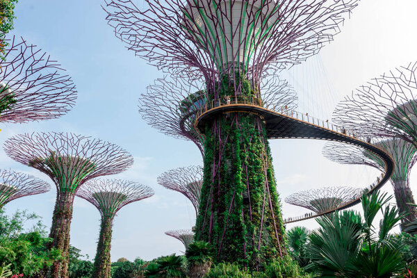 supertree Singapore gardens by the bay, Singapore, Oct 12, 2018