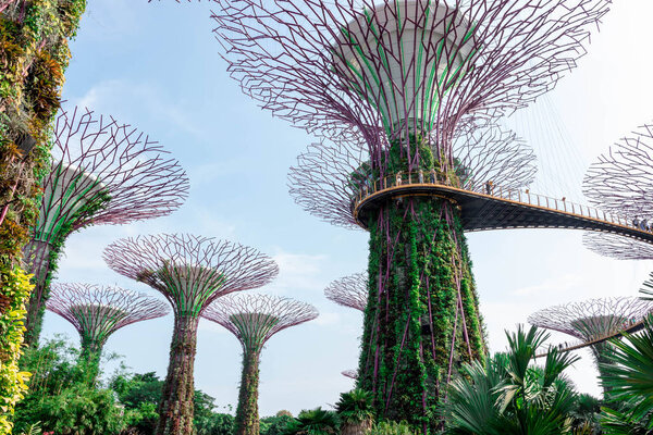 supertree Singapore gardens by the bay, Singapore, Oct 12, 2018