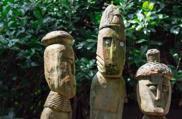 Une Tribu Statues Figure Humaine Bois Avec Fond Vert Nature — Photo
