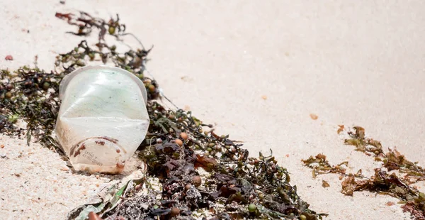 Фотография Крупным Планом Пластиковой Чашки Брошенной Песок Пляжном Курорте Загрязняющей — стоковое фото