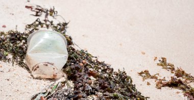 Bir closeup çekim makro fotoğraf, atılan plastik bir kap 