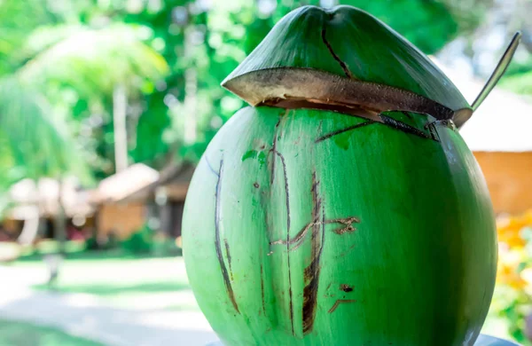 Macro closeup shot of a fresh green coconut fruit with juice and — Stock Photo, Image