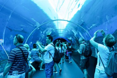 Singapur 'da turistler Deniz Akvaryumu, Singapur, Nisan 1 2019